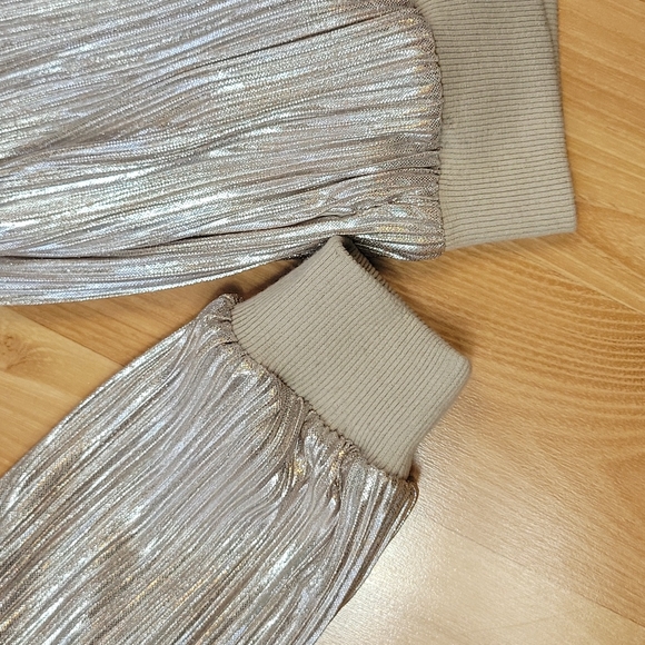 Francesca's Champagne Shimmer Jacket - Picture 5 of 7